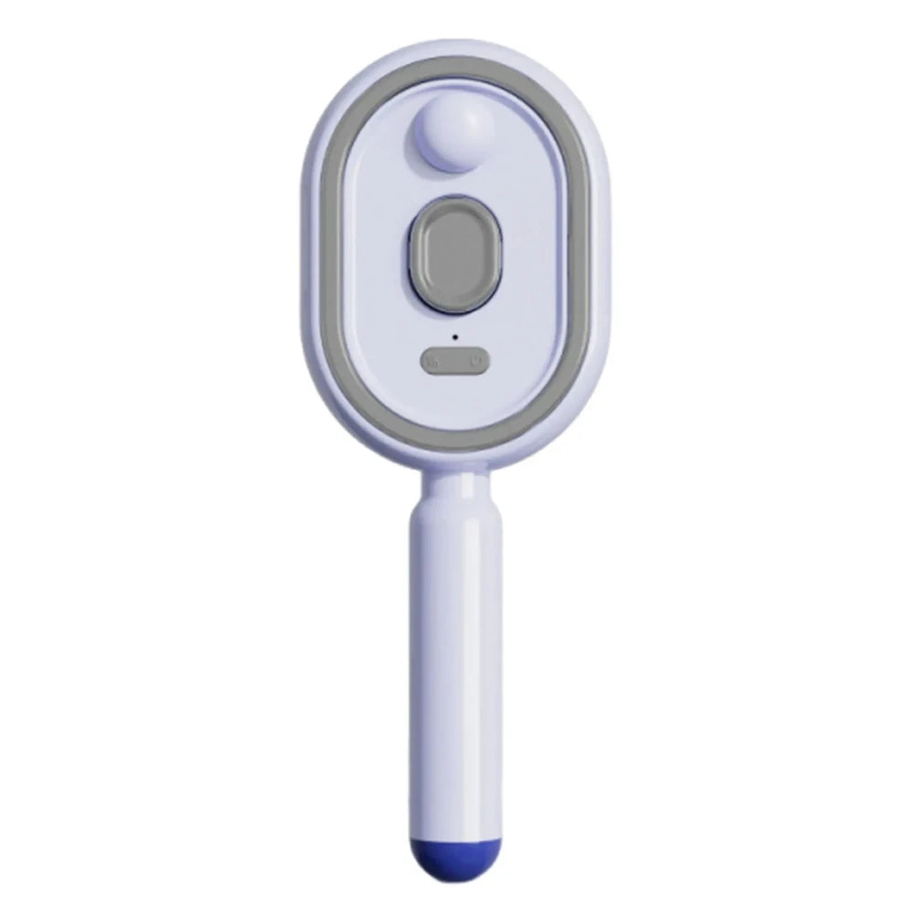 Portable Steam Smoothing Hair Brush