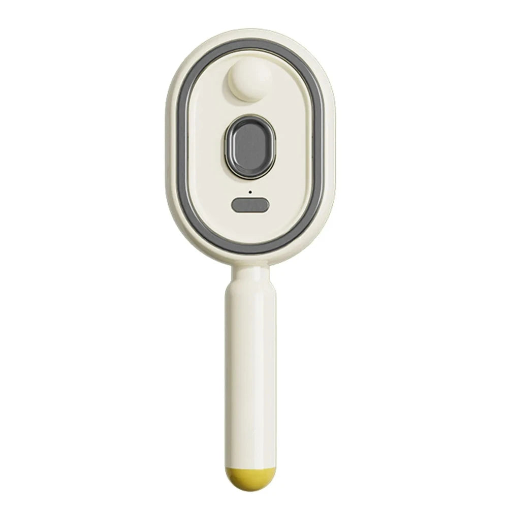 Portable Steam Smoothing Hair Brush